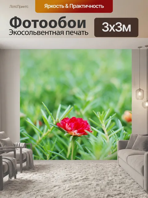 Фотообои Цветок