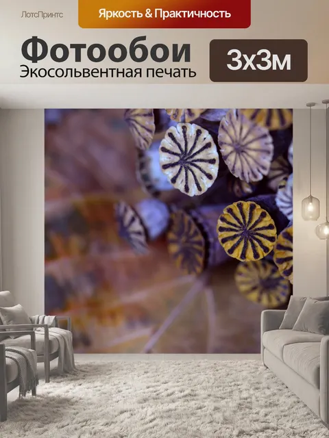 Фотообои зонтики мака