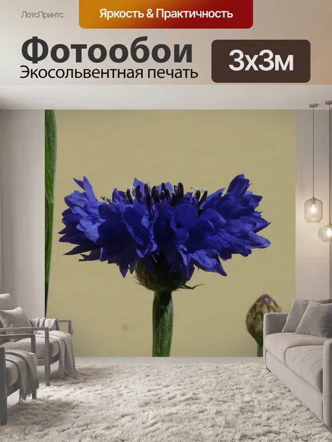 Фотообои Васильковый