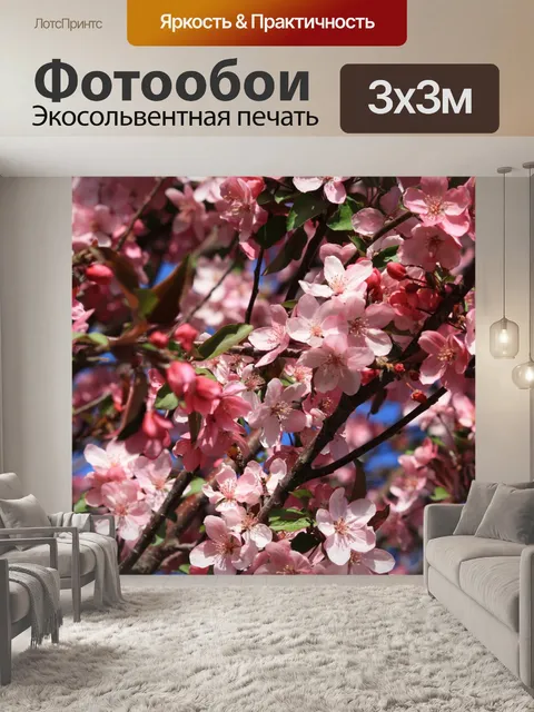 Фотообои Вишневые цветы, лепестки розы
