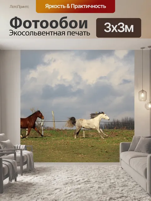 Фотообои Лошади