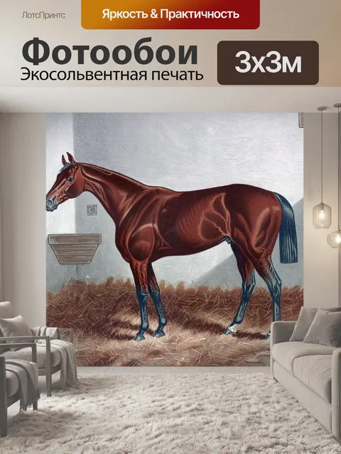 Фотообои Каштан лошади Живопись