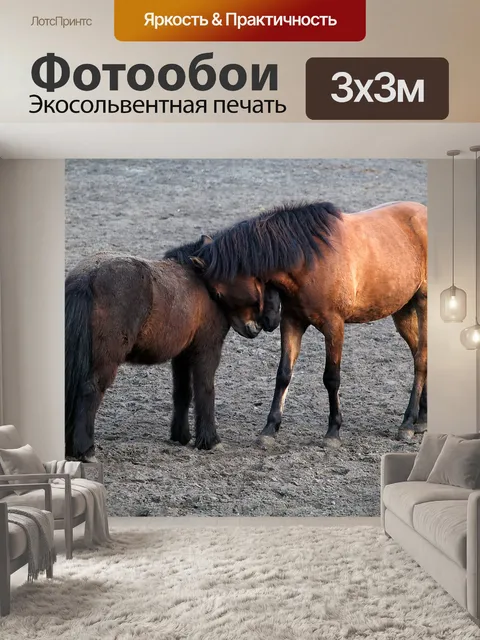 Фотообои Лошади