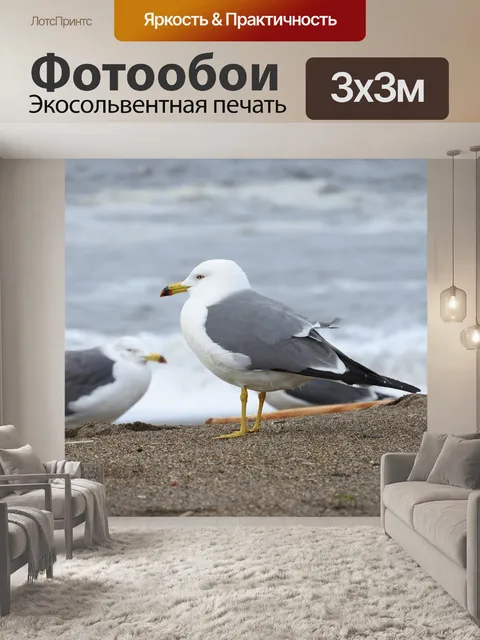 Фотообои Животное