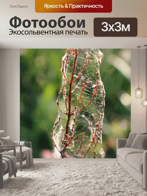 Фотообои Природа