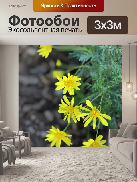 Фотообои Цветы