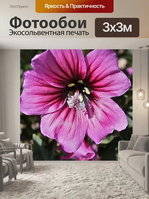 Фотообои Цветы