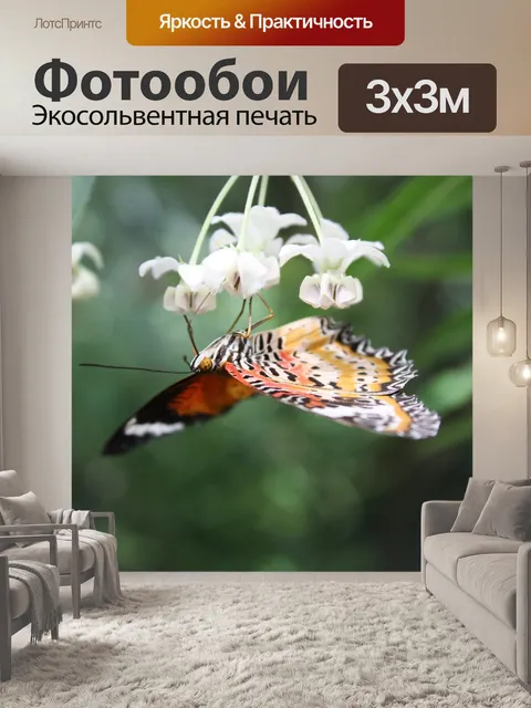 Фотообои Оранжевый красочные бабочки
