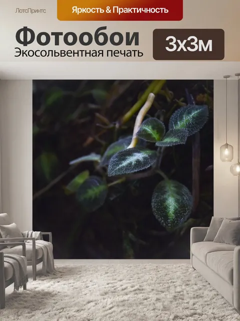 Фотообои Темные Нечеткие дождя лесные Листья