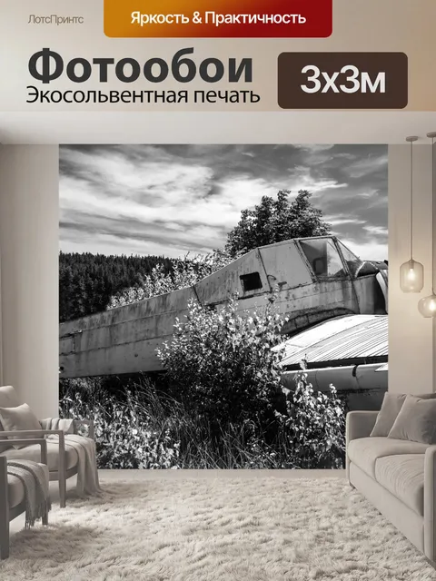 Фотообои Самолет