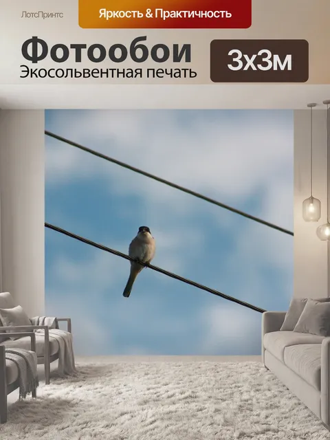 Фотообои Птицы