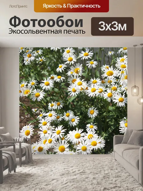 Фотообои Цветы