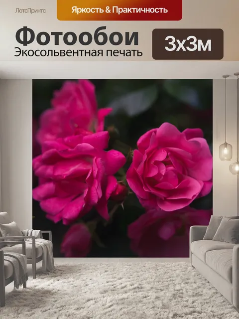 Фотообои Розы