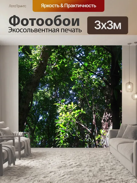 Фотообои солнечный свет на пучке листьев