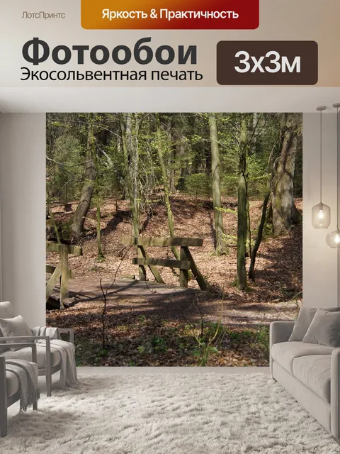 Фотообои Лес