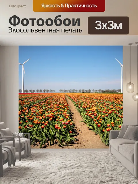 Фотообои Тюльпаны