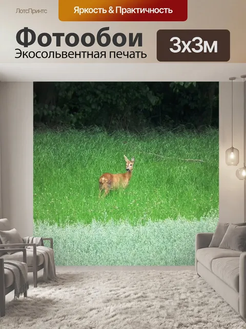 Фотообои Олень