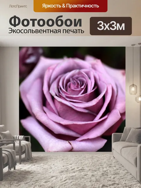 Фотообои Лаванда поднялась Закрыть цветок