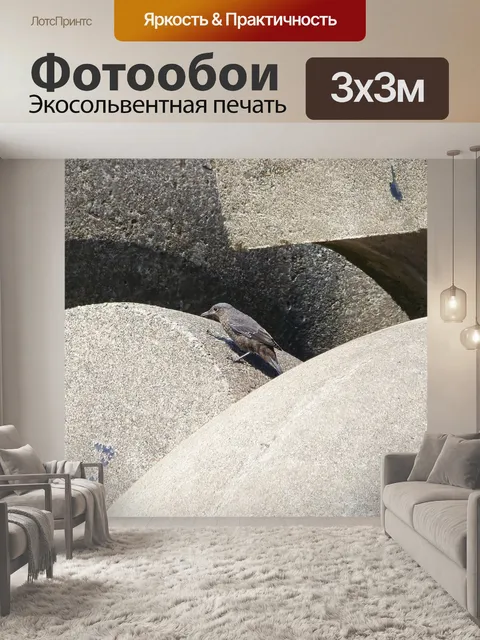 Фотообои Животное