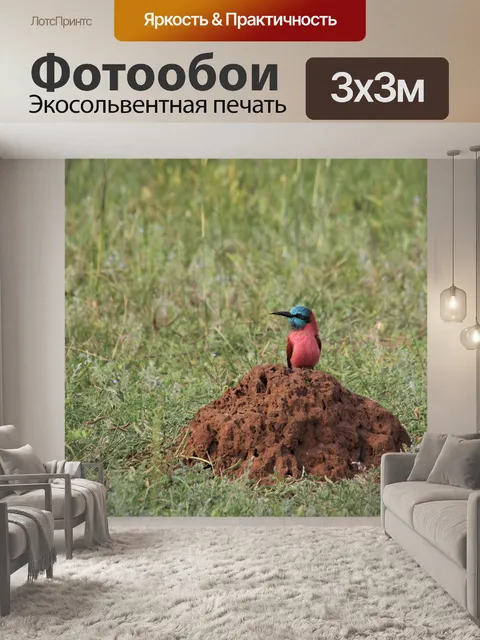 Фотообои Северный