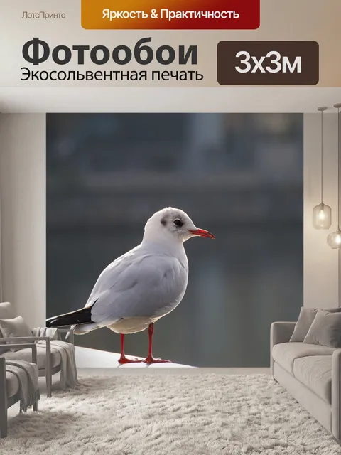 Фотообои Чайка