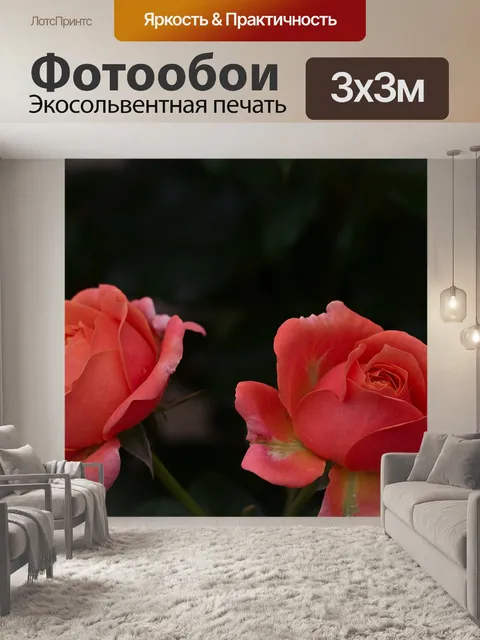 Фотообои Розы