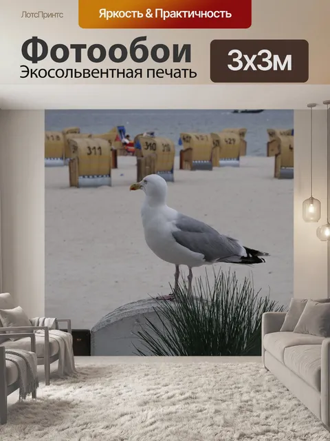 Фотообои Птица