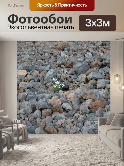 Фотообои Цветы