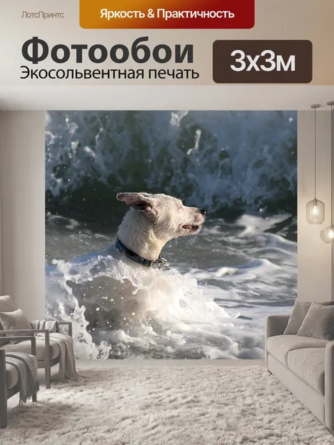 Фотообои Собака