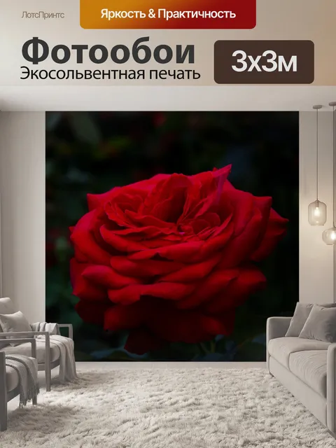 Фотообои Роза