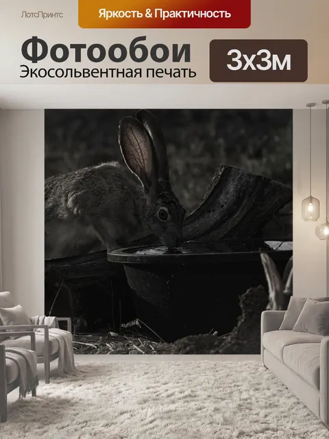 Фотообои Джек кролик