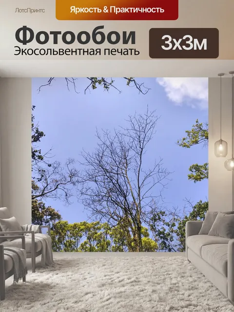 Фотообои Задний план