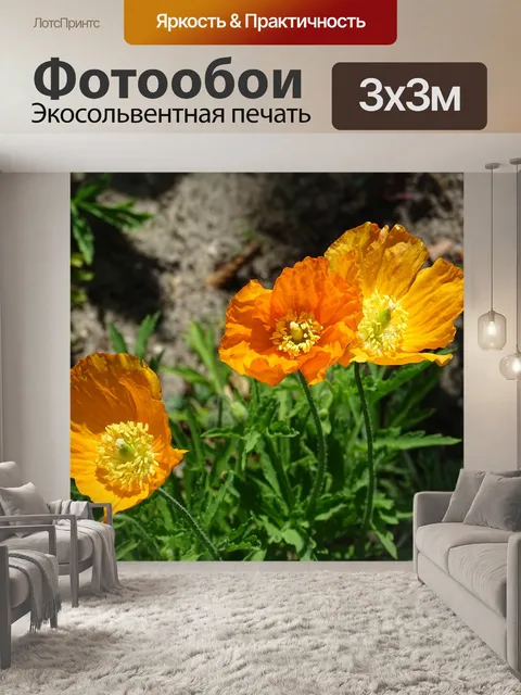 Фотообои Цветы