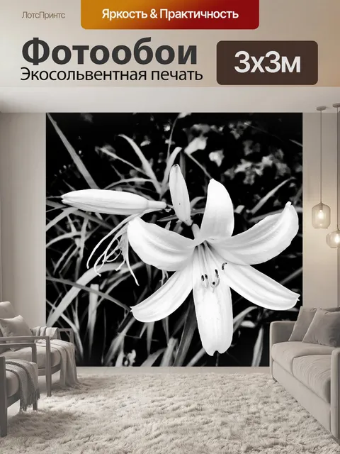 Фотообои Лилии