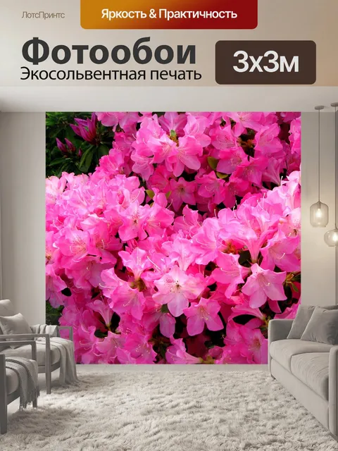 Фотообои Цветы