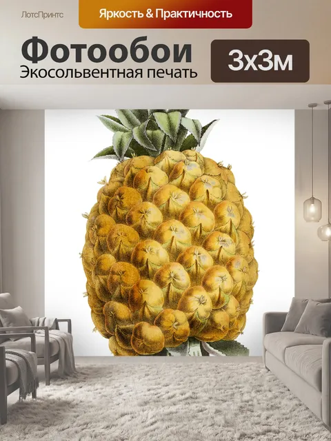 Фотообои Ананас фрукты старинные иллюстрации