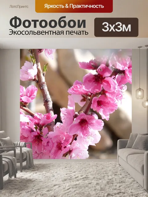 Фотообои Цветок