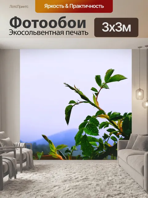 Фотообои Туманный