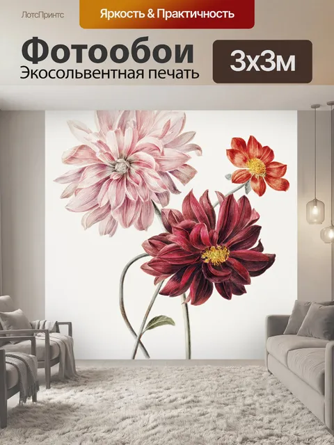 Фотообои Цветы георгина нарисованные лепестки