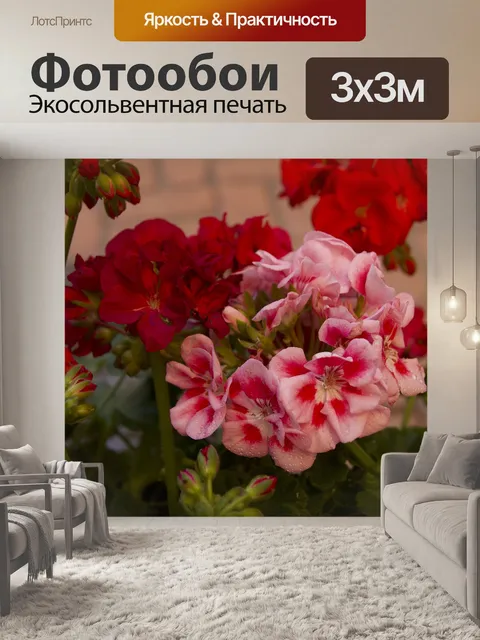 Фотообои Цветы