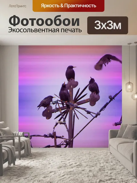 Фотообои Птицы