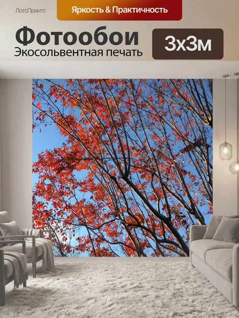 Фотообои Природа