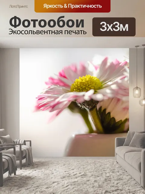 Фотообои Ромашки