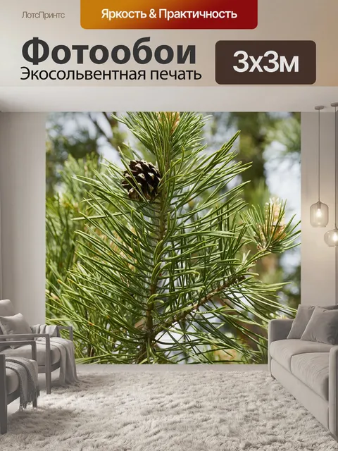 Фотообои Лес