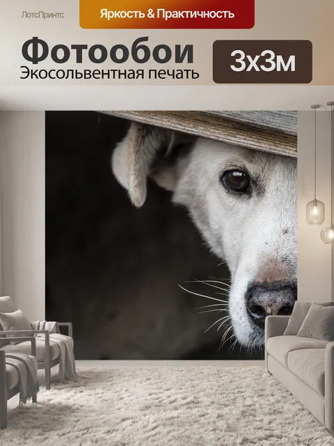 Фотообои Собака