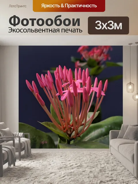 Фотообои Джунгли герань