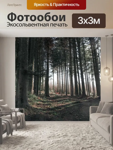 Фотообои Лес