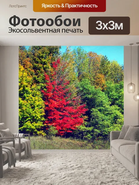 Фотообои Осенние деревья