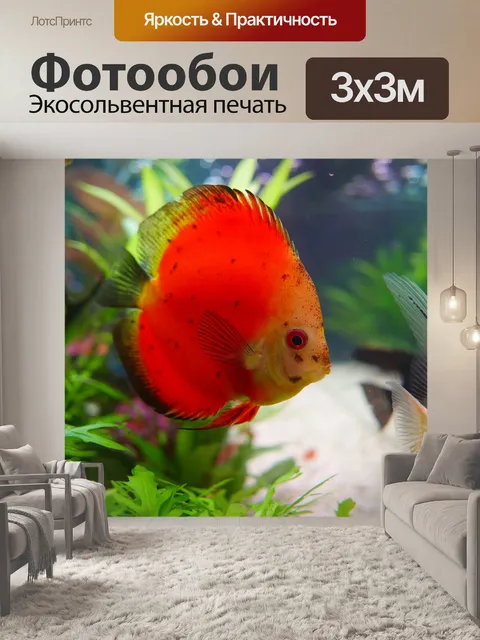 Фотообои Рыбы