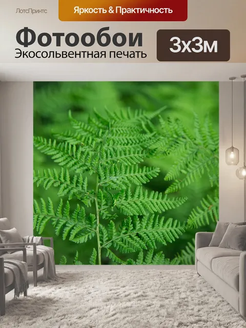 Фотообои папоротник